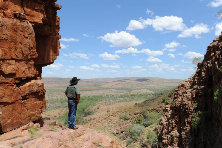 Amaroo view